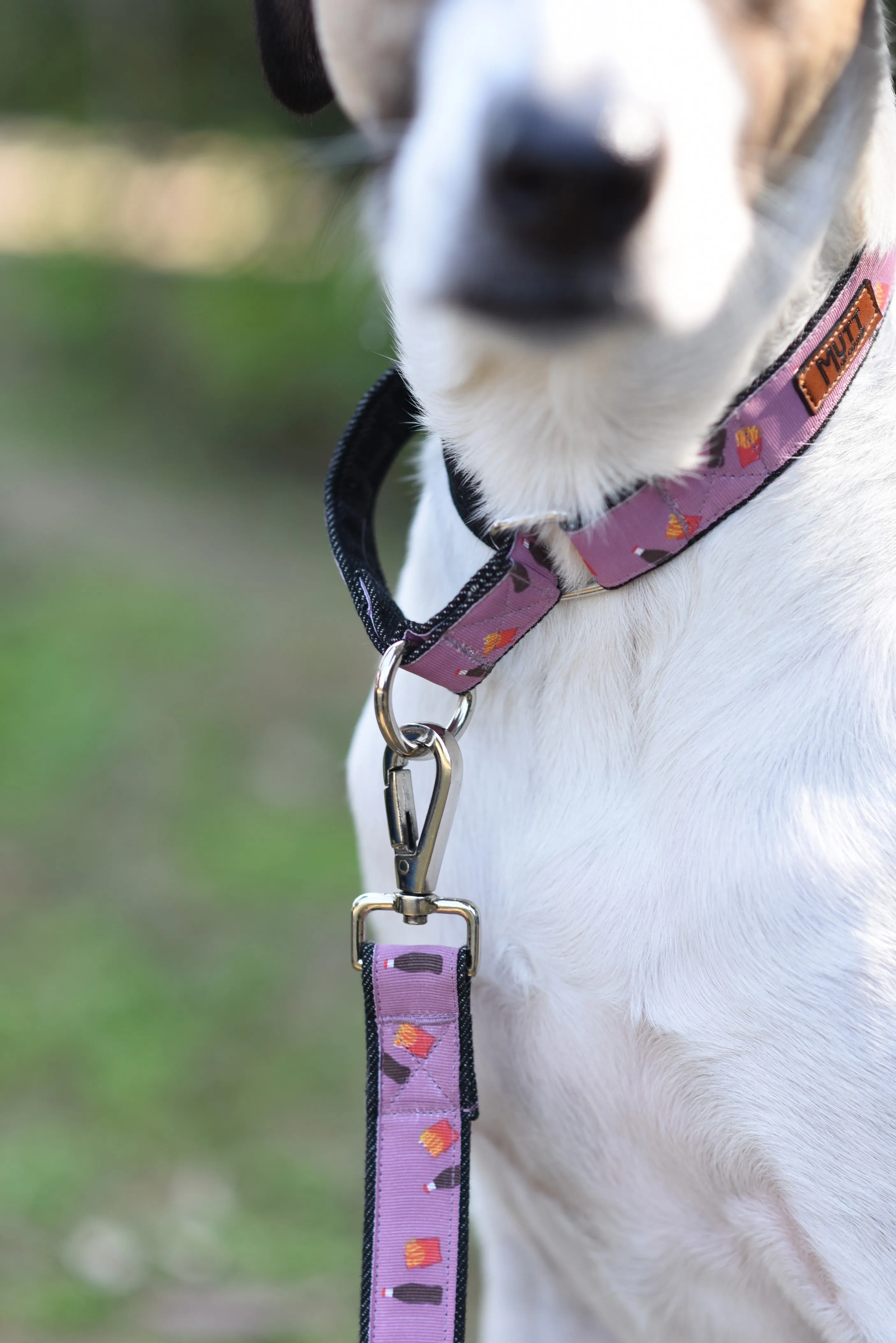 Cola N' Fries Martingale Denim Collar