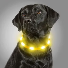 LED Light Up Collar for Dogs